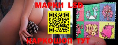 apvp Моздок
