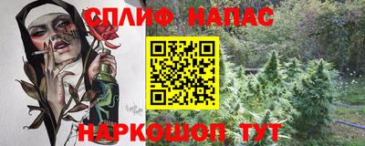 apvp Моздок