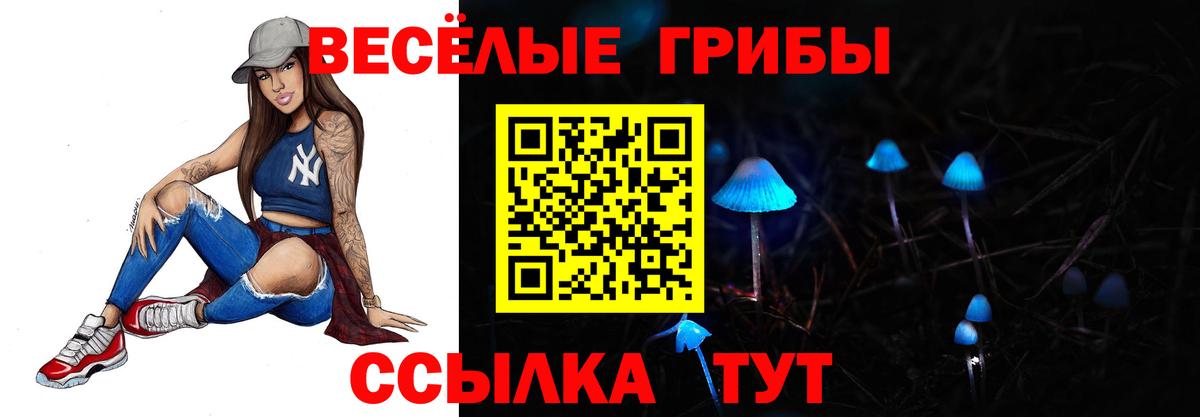 наркота  Вход с VPN  Тихвин  Псилоцибиновые грибы мицелий 