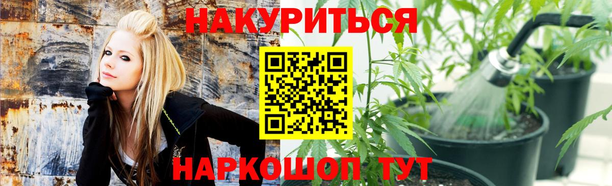 МАРИХУАНА White Widow  Вход с VPN  Бошки Шишки тримм  Конопля THC 21%  Бошки марихуана Ganja  Тихвин 